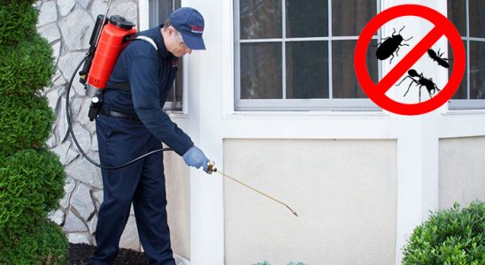 Helvacı Dezenfeksiyon böcek ilaçlama ve haşere kontrolü — ilaclama-tr.com